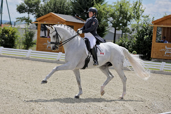 Tanya Strasser-Shostak Goodtyme Stables Dressage