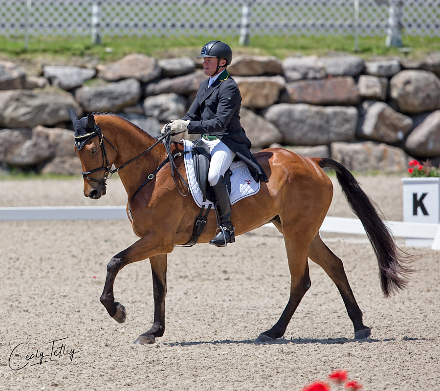 Karl Slezak & Fernhill Wishes Bromont Three Day Event