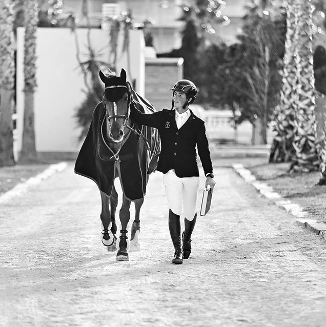 Tim Wilks Showjumping