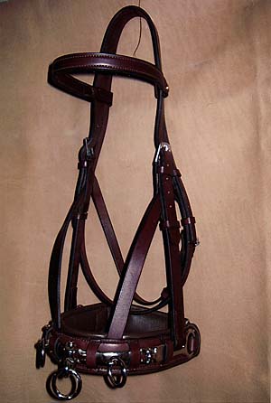 Custom Dressage Bridles